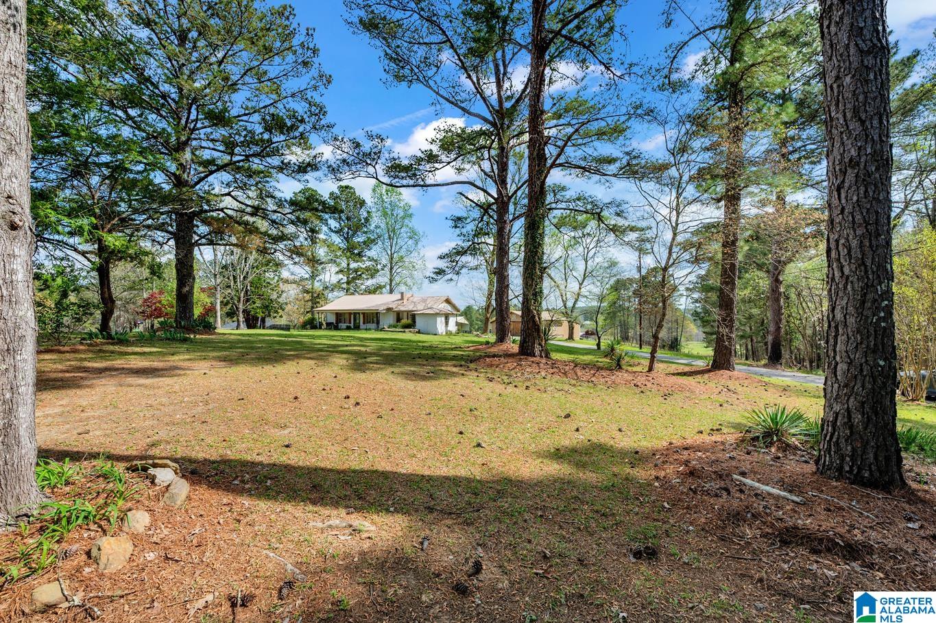470 Armstrong Loop Hayden, AL 35079 - Photo 27 of 29