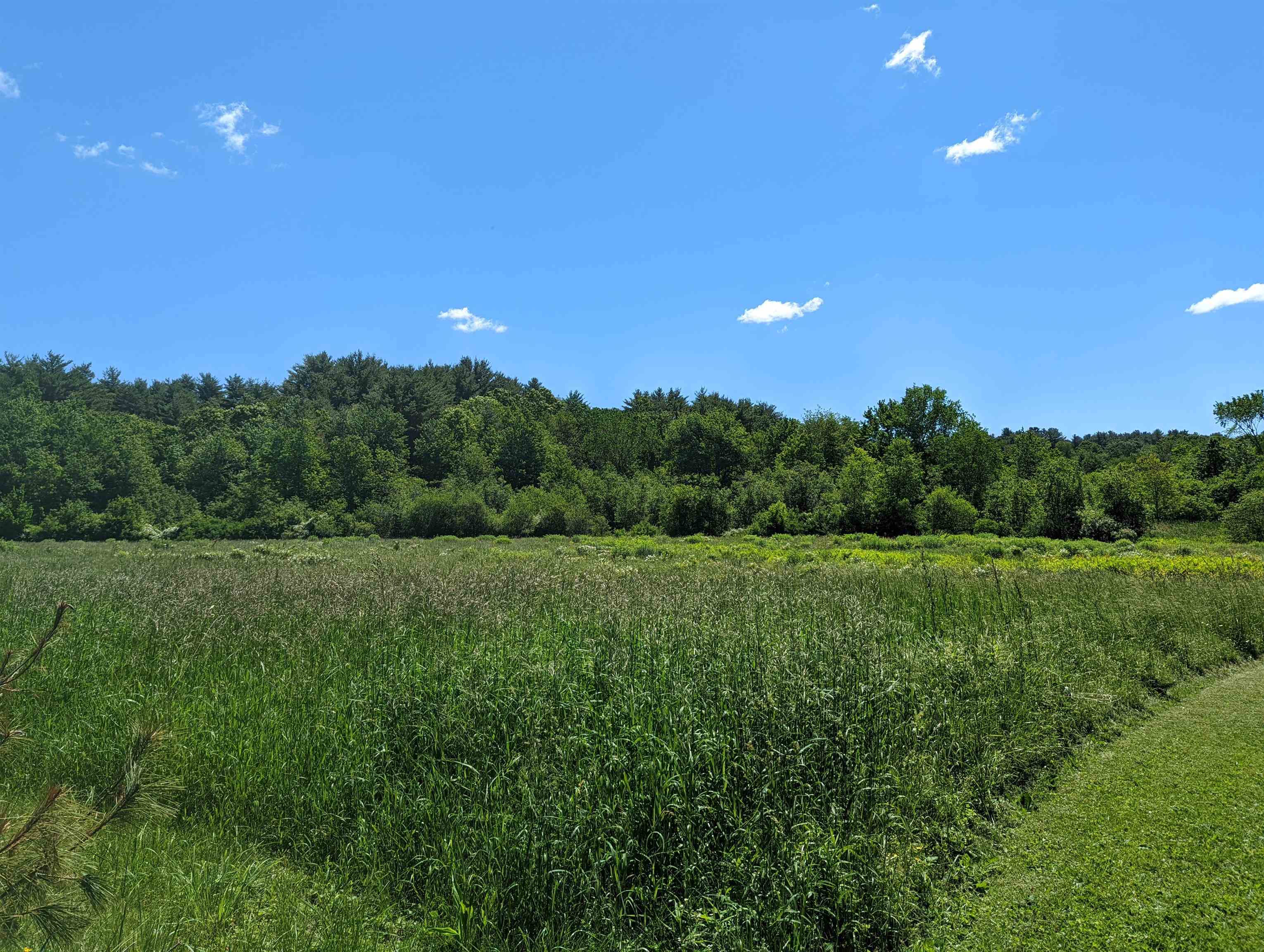 104 Post Road North Hampton, NH 03862 - Photo 10 of 13