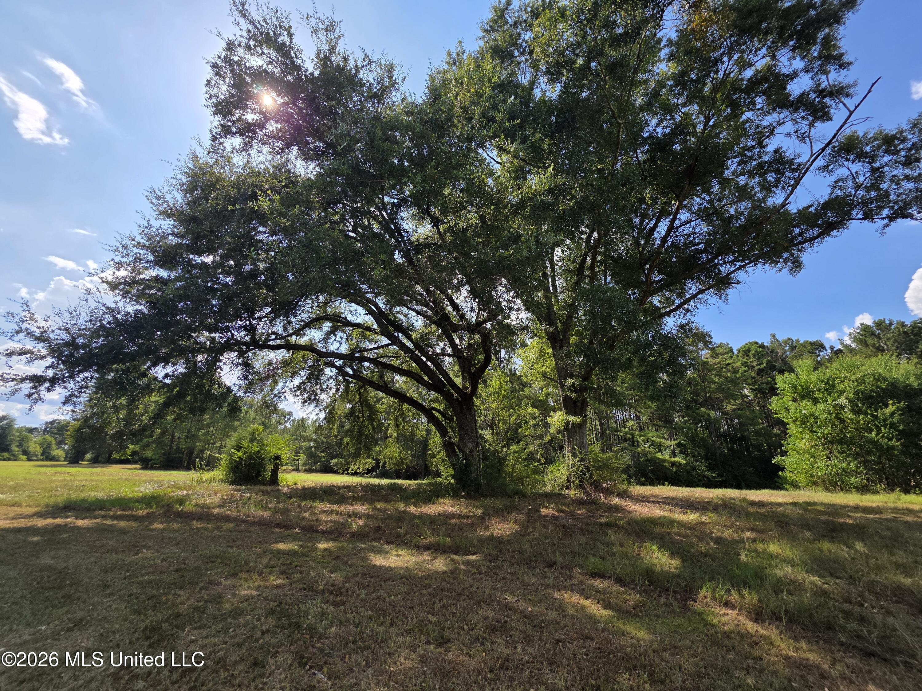325 Double Ponds Road Prentiss, MS 39474 - Photo 41 of 43 39413