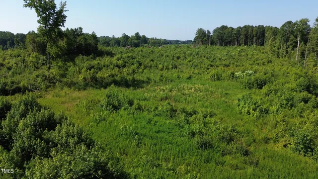 a view of a lush green forest with trees and some houses