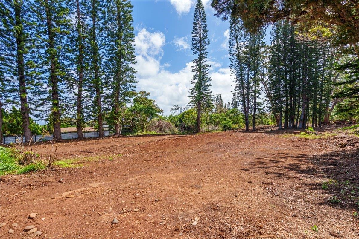 2175 Kauhikoa Road, Unit 7 Haiku, HI 96708 - Photo 2 of 21