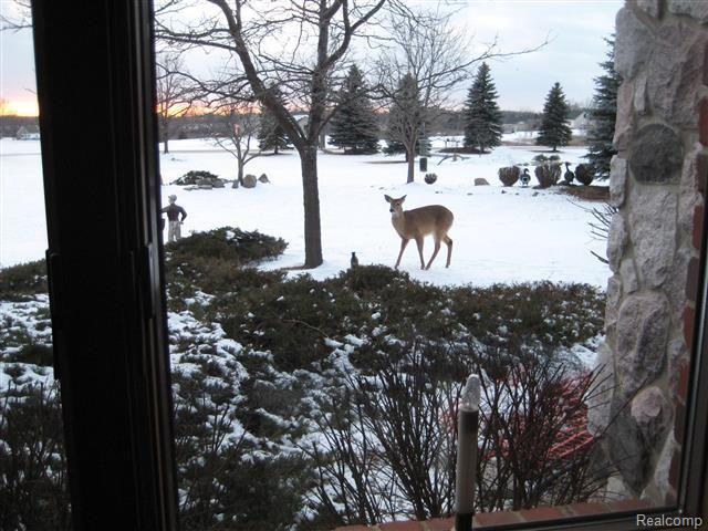 2311 Bullock Road Lapeer, MI 48446 - Photo 29 of 36 5 (Small).jpg