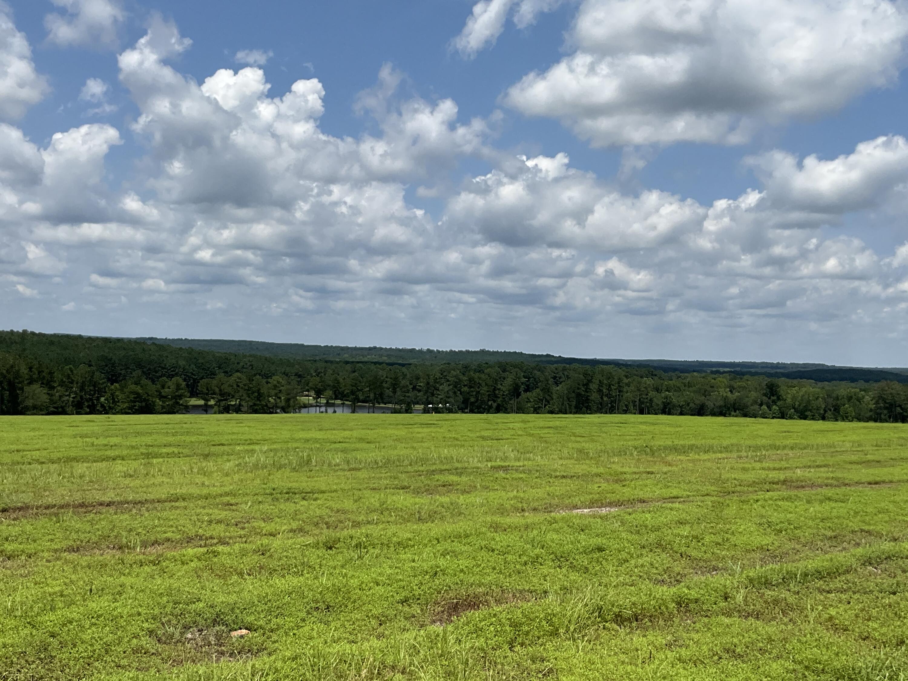 -lot 47 Laughlin Loop Aiken, SC 29805 - Photo 10 of 13