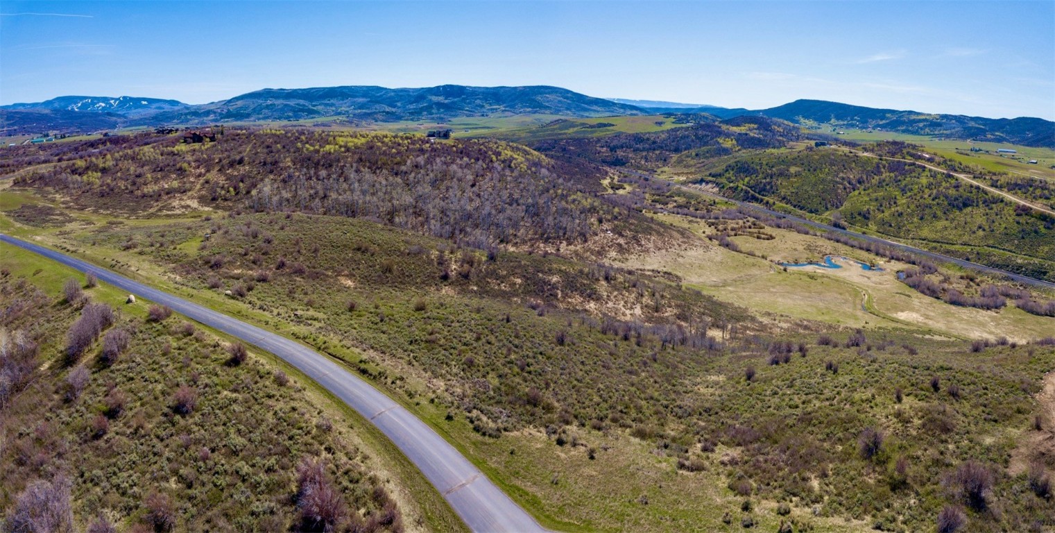 30665 Marshall Ridge Steamboat Springs, CO 80487 - Photo 12 of 25 a view of a forest with a mountain