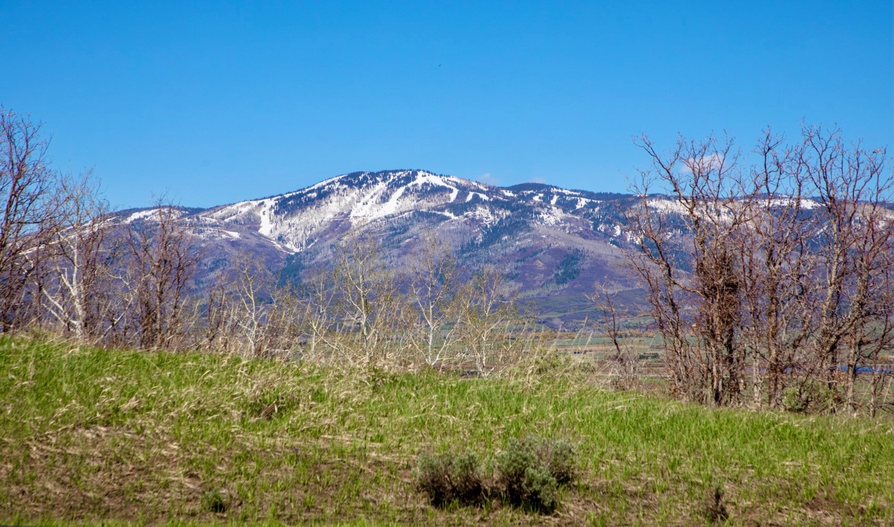 30665 Marshall Ridge Steamboat Springs, CO 80487 - Photo 13 of 25 a view of a yard