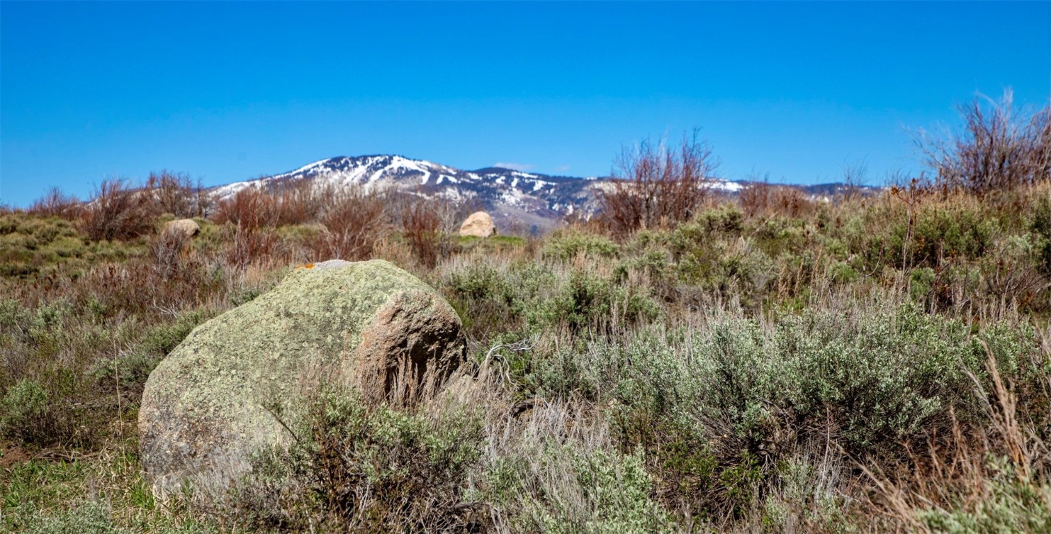 30665 Marshall Ridge Steamboat Springs, CO 80487 - Photo 15 of 25 a view of a field