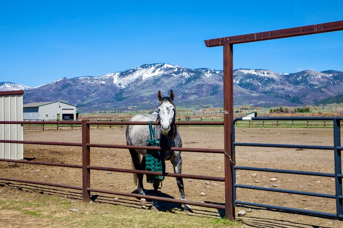 30665 Marshall Ridge Steamboat Springs, CO 80487 - Photo 19 of 25 a view of a porch