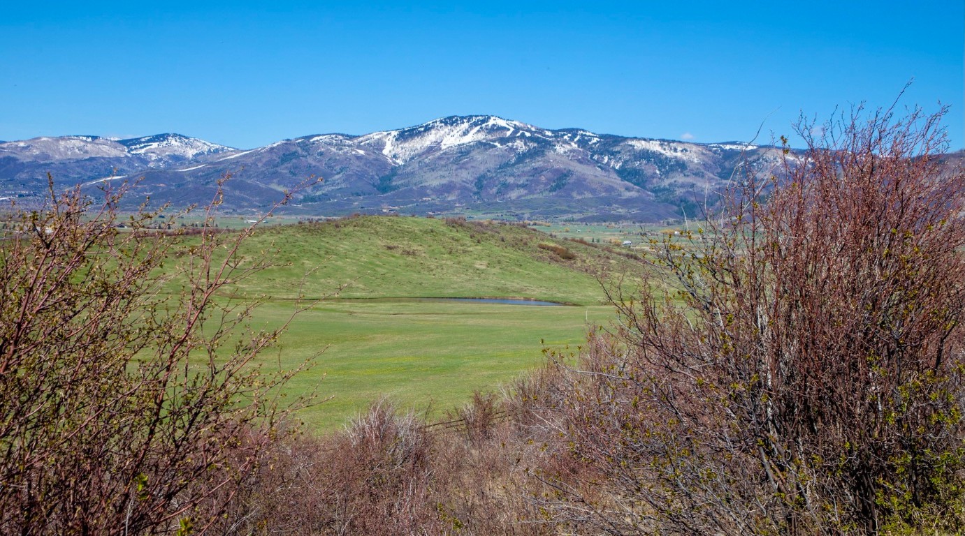 30665 Marshall Ridge Steamboat Springs, CO 80487 - Photo 6 of 25 a view of a lush green hillside and a building