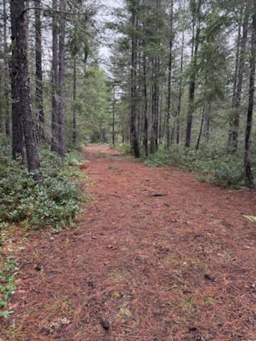Lone Mountain Road, Unit 1300 Cave Junction, OR 97523 - Photo 5 of 15 a view of a yard with trees in the background