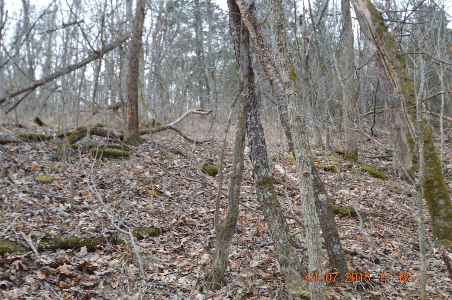 1290 Dennis Road, Unit 3 Lawrenceburg, KY 40342 - Photo 65 of 76 Photo 65