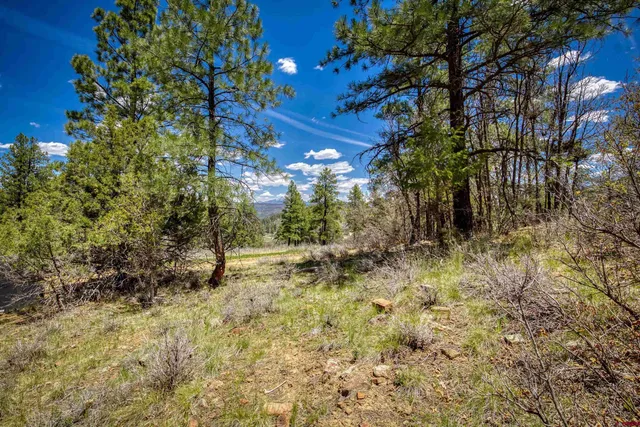 a view of empty yard