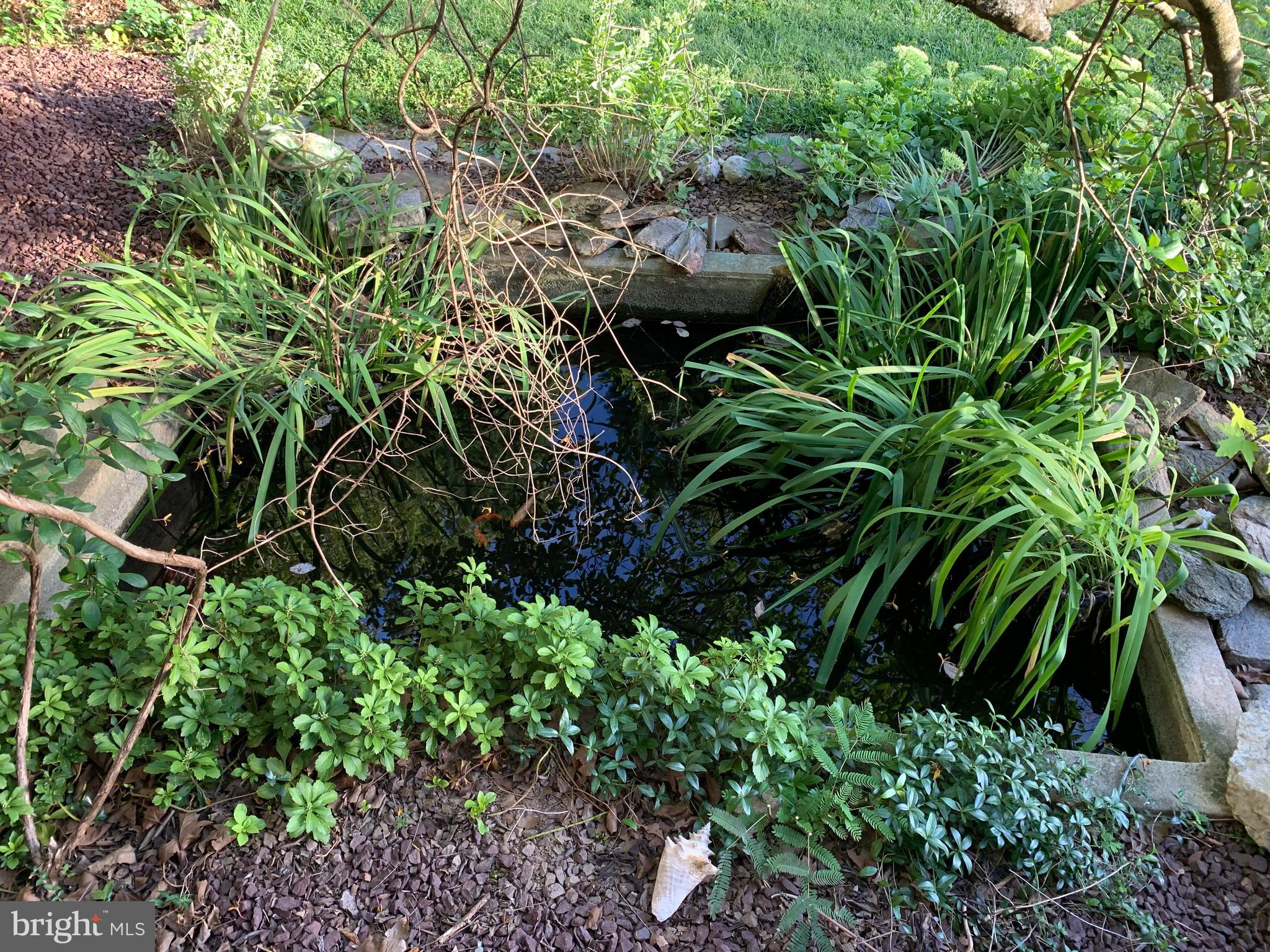 116 Lyndhurst Road York, PA 17402 - Photo 16 of 16 Fish Pond