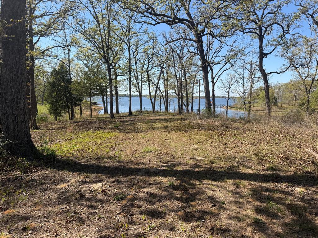 985 Indian Gap Quitman, TX 75783 - Photo 16 of 20 a view of a backyard with large trees