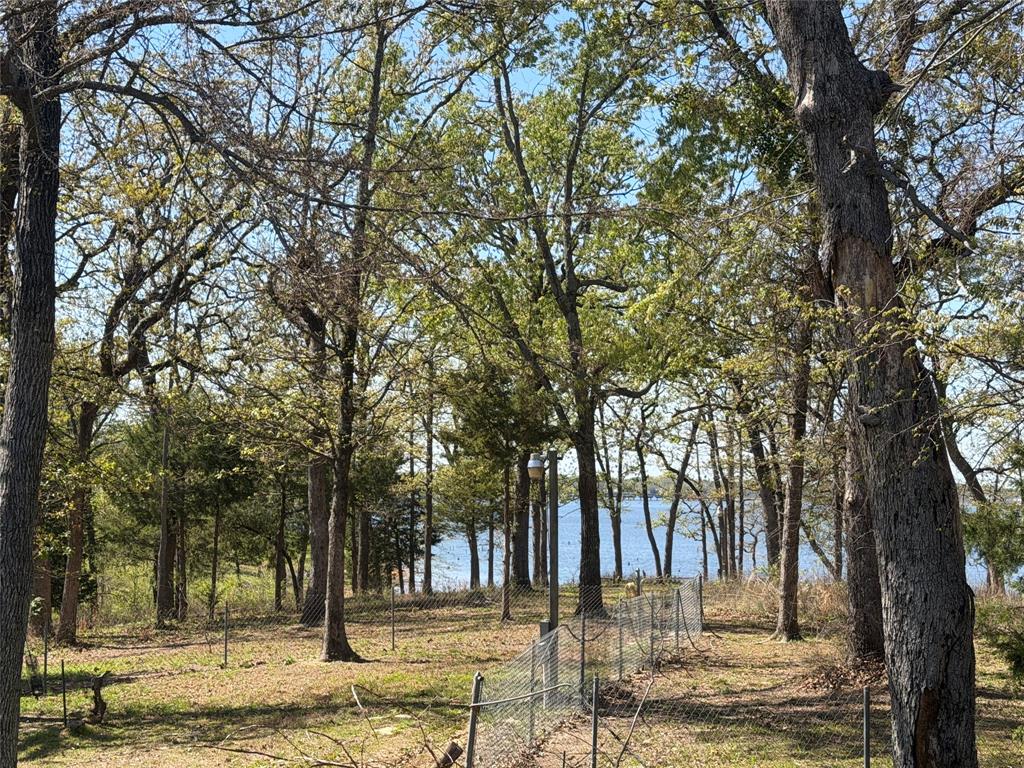 985 Indian Gap Quitman, TX 75783 - Photo 17 of 20 a view of a yard with a tree
