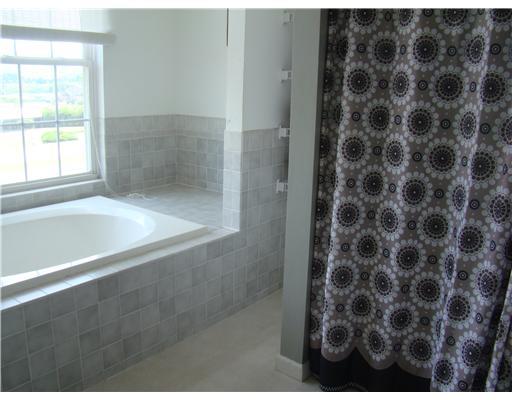 144 Hunter Road Blairsville, PA 15717 - Photo 9 of 10 Master Bath/Spa.