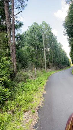 a view of a road with trees in the background