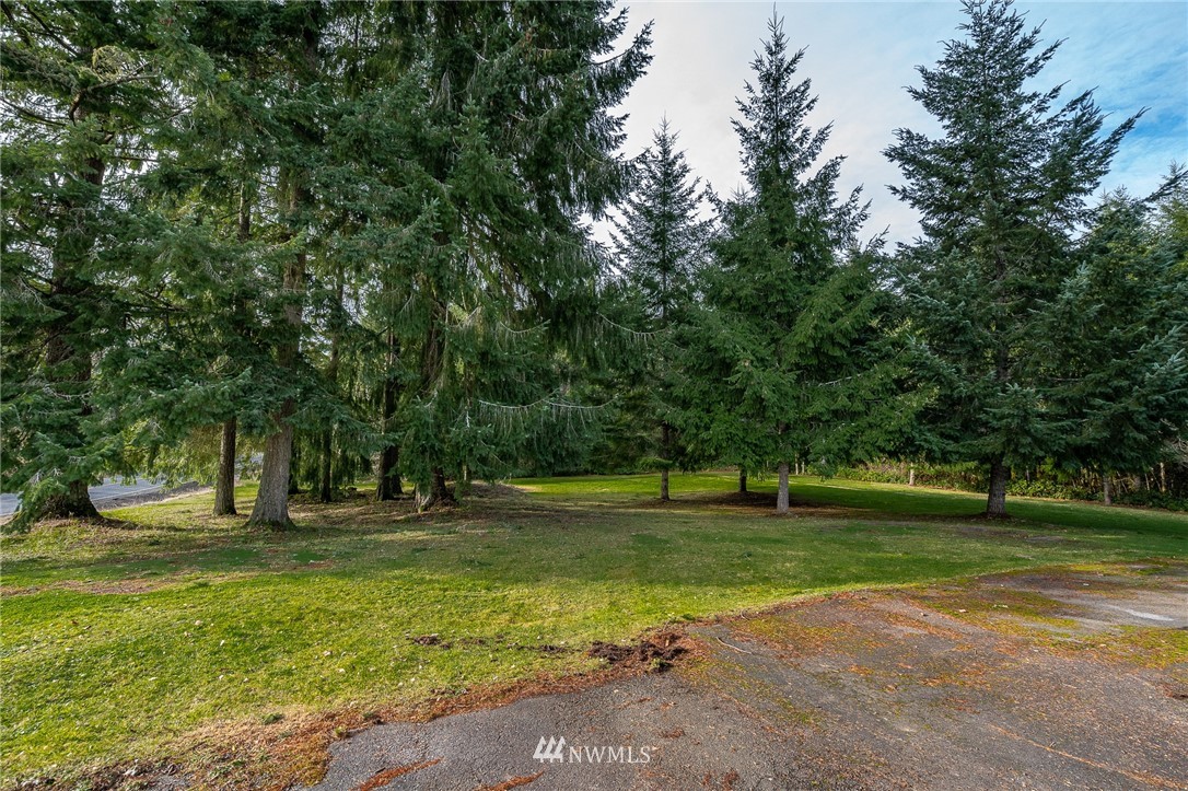 368 Jones Road Winlock, WA 98596 - Photo 4 of 39 a view of a trees in a park