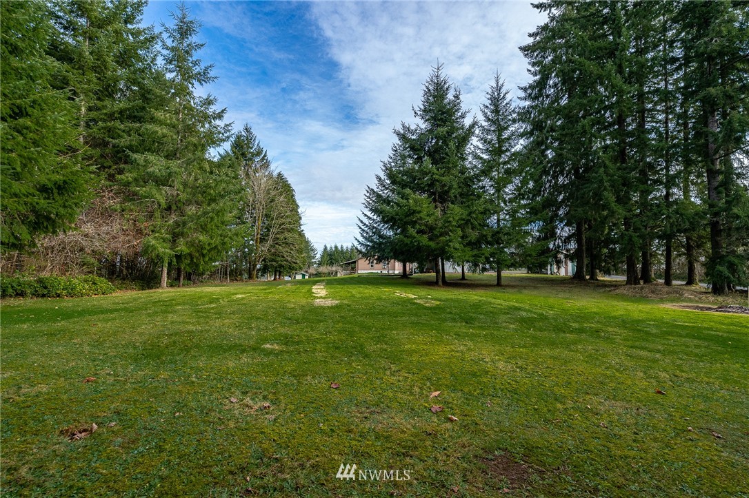 368 Jones Road Winlock, WA 98596 - Photo 7 of 39 a huge green field with lots of trees