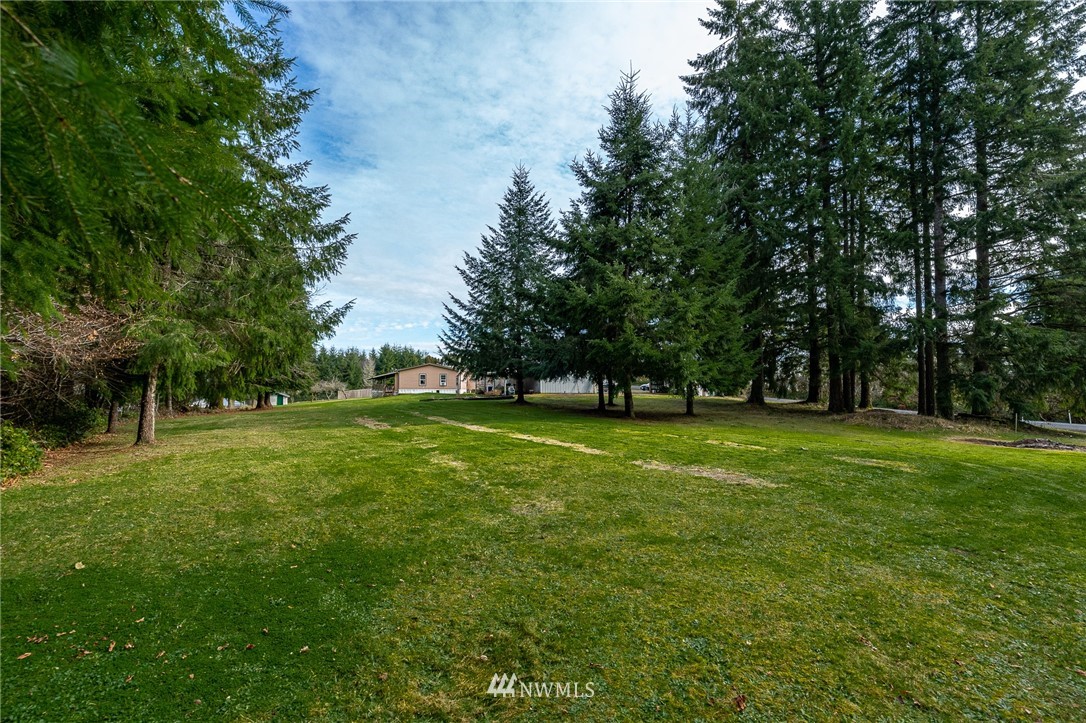 368 Jones Road Winlock, WA 98596 - Photo 8 of 39 a view of green field