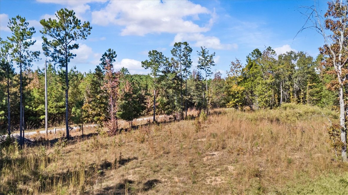 890 Asaville School Road Anderson, SC 29621 - Photo 1 of 9
