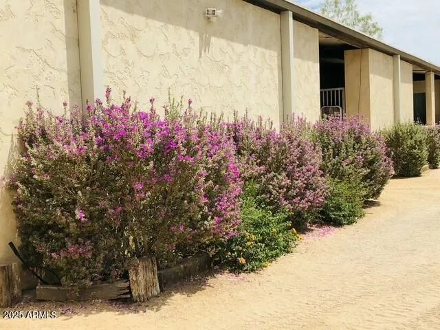 $8,400,000 | 31055 North 56th Street, Cave Creek, AZ 85331