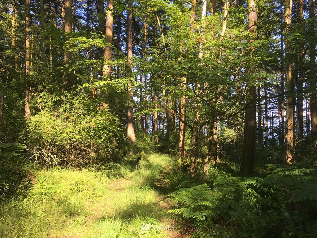5 Trunkey Lane Road Anacortes, WA 98221 - Photo 4 of 17