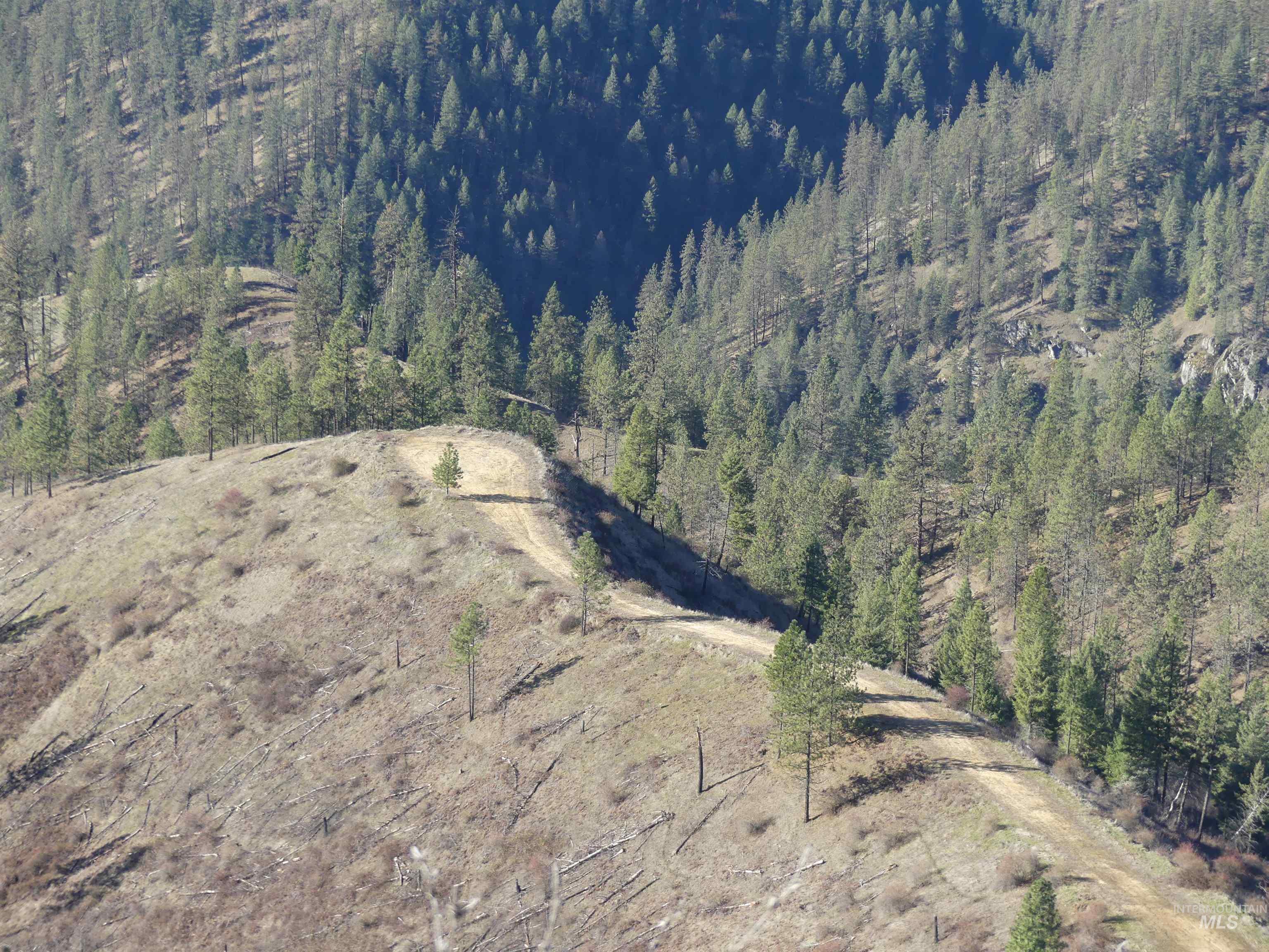 1408 Carrot Ridge Road Kamiah, ID 83536 - Photo 36 of 48