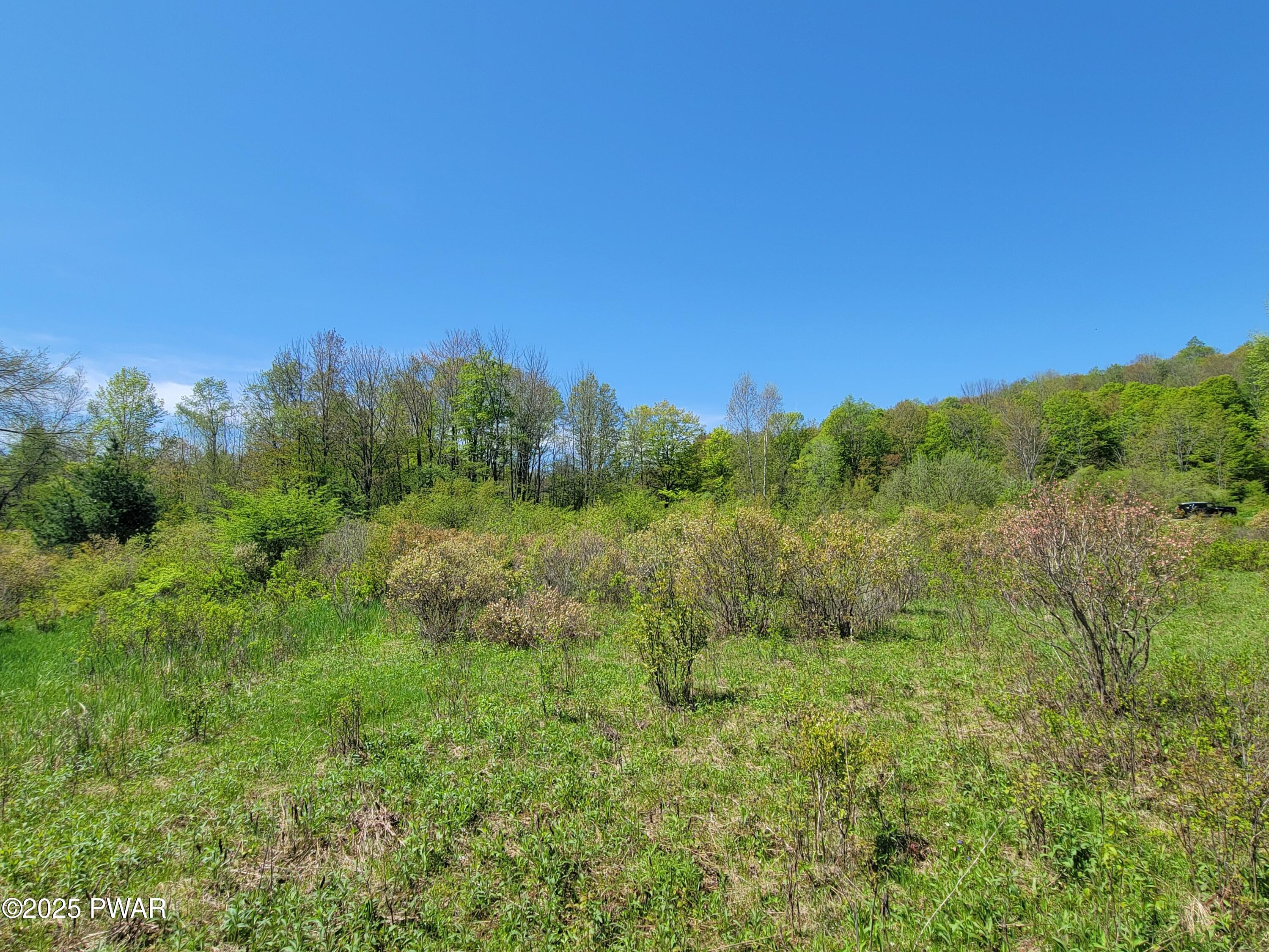 298 Maple Grove Road Starrucca, PA 18462 - Photo 16 of 20