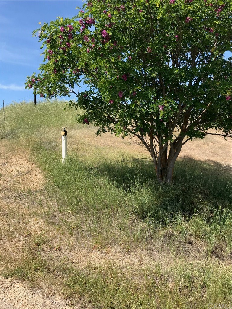 9015 Cemetery Road San Miguel, CA 93451 - Photo 3 of 15 Gallery Image 3