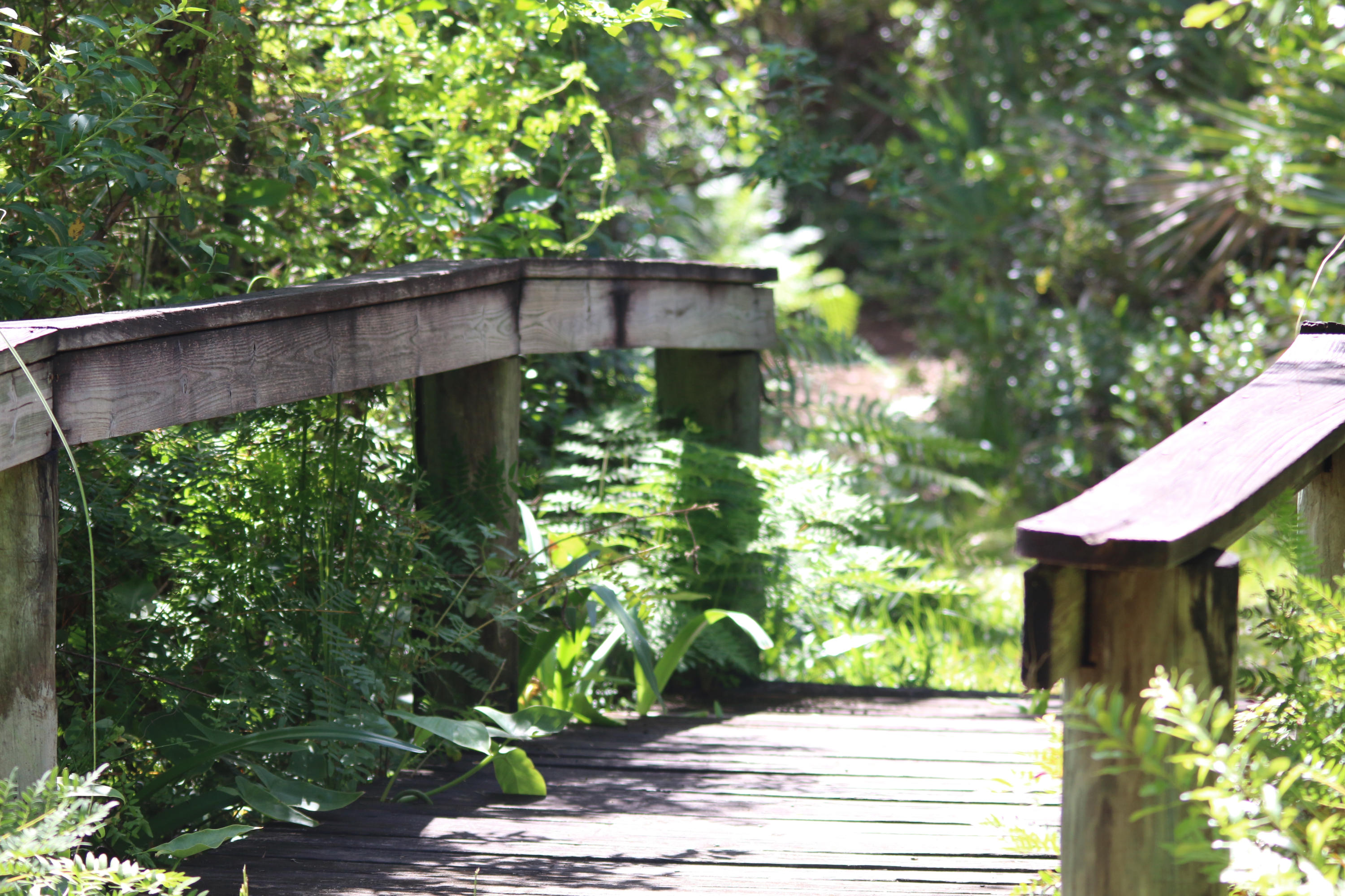 8841 First Tee Road Port St. Lucie, FL 34986 - Photo 200 of 228 178 Gordy Road Trail