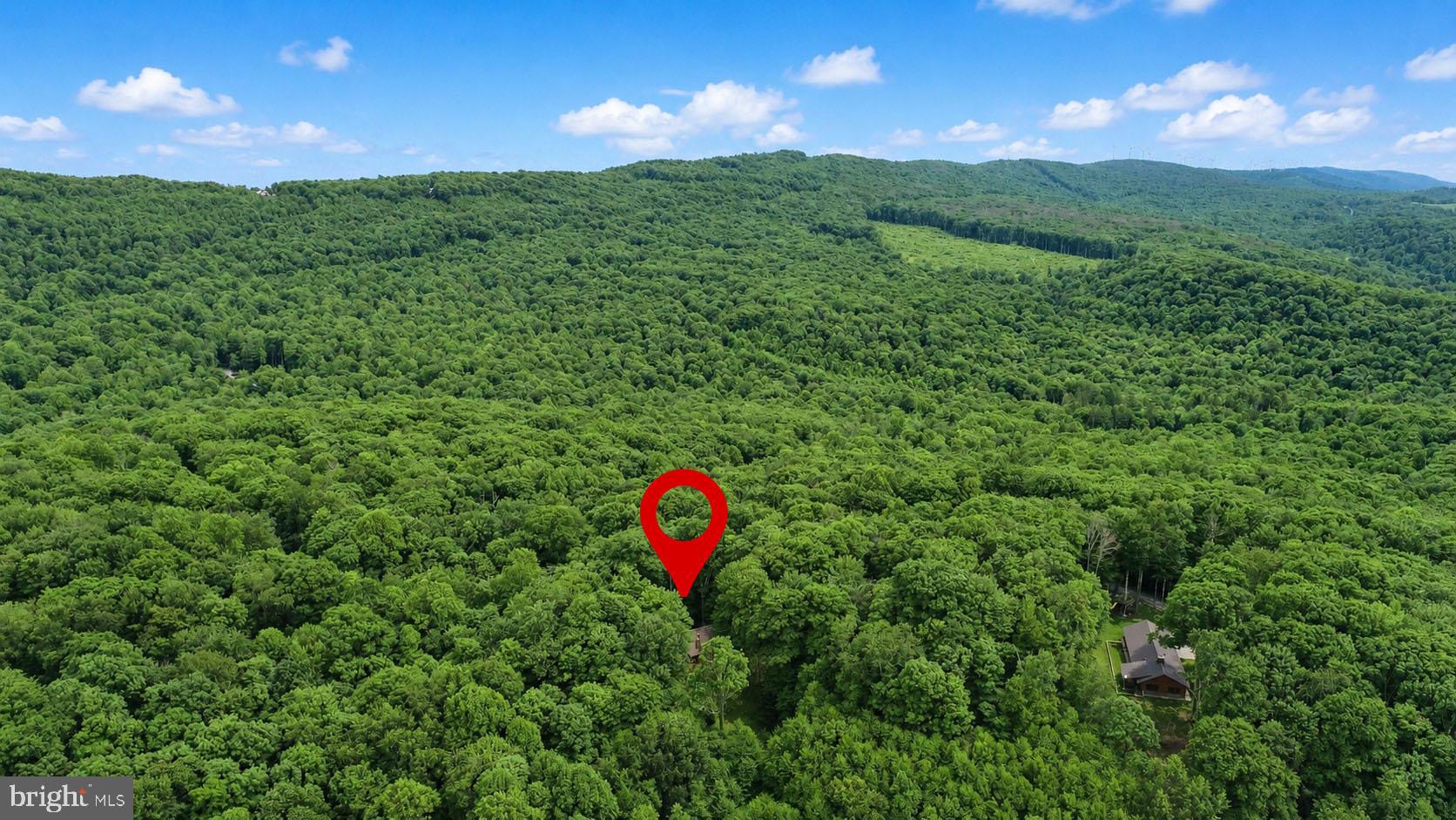 254 Little Mountain Road Oakland, MD 21550 - Photo 50 of 53