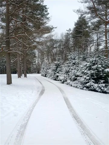 a view of a backyard of the house