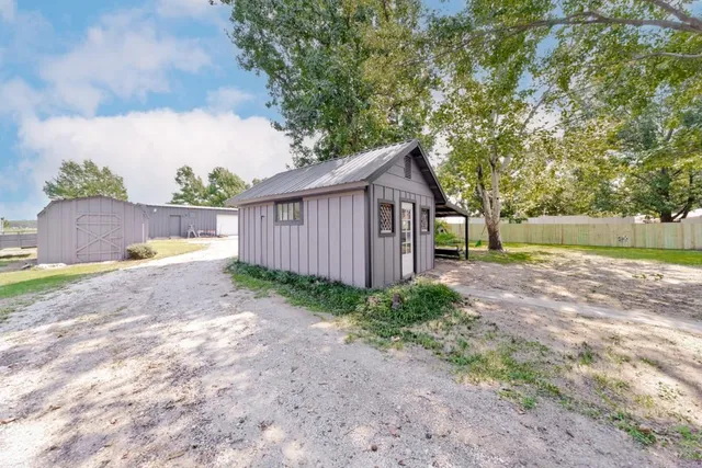 a view of a yard with plants and a tree