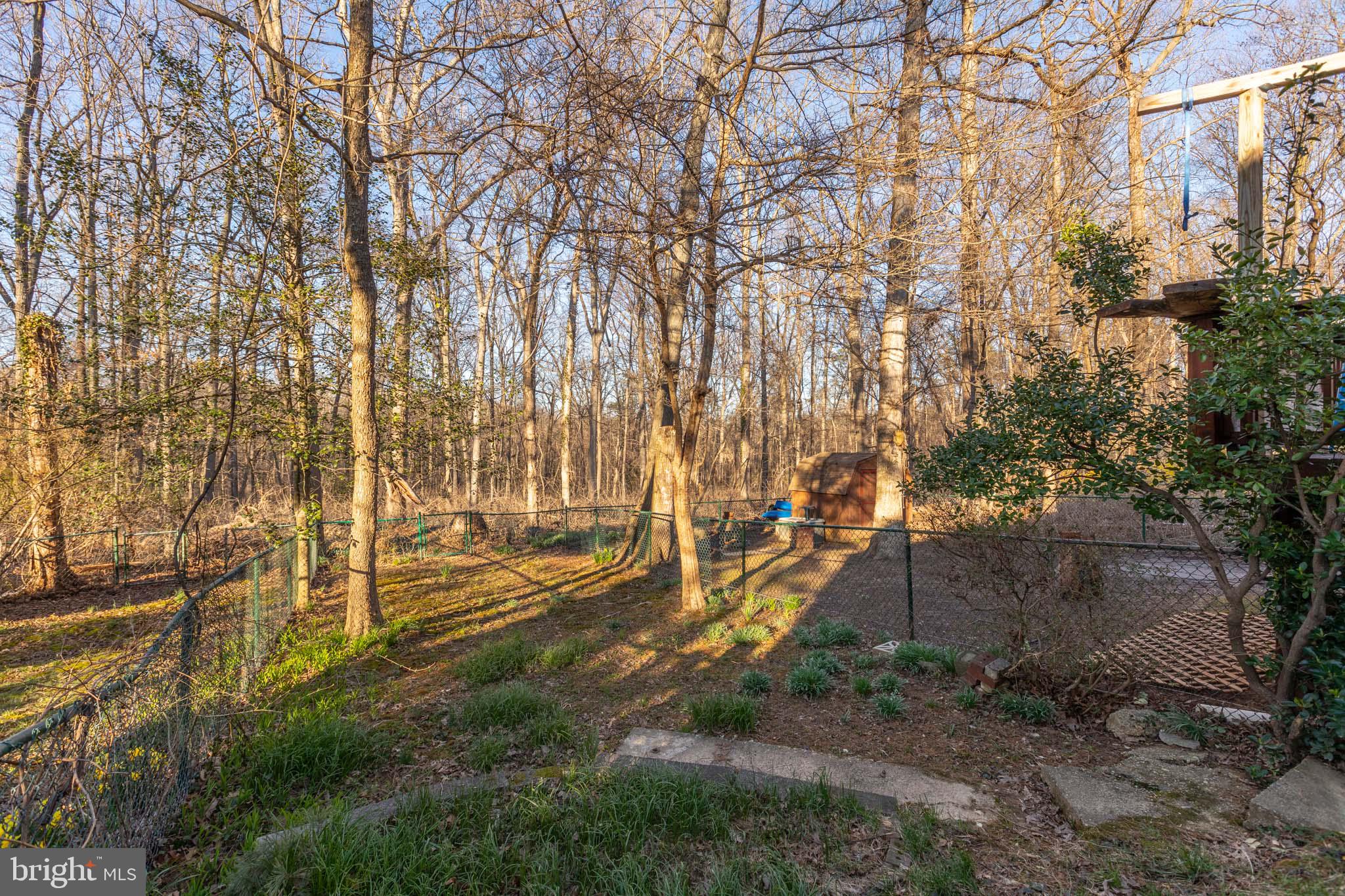 46 Ridge Road Greenbelt, MD 20770 - Photo 15 of 20 Gallery Image 15