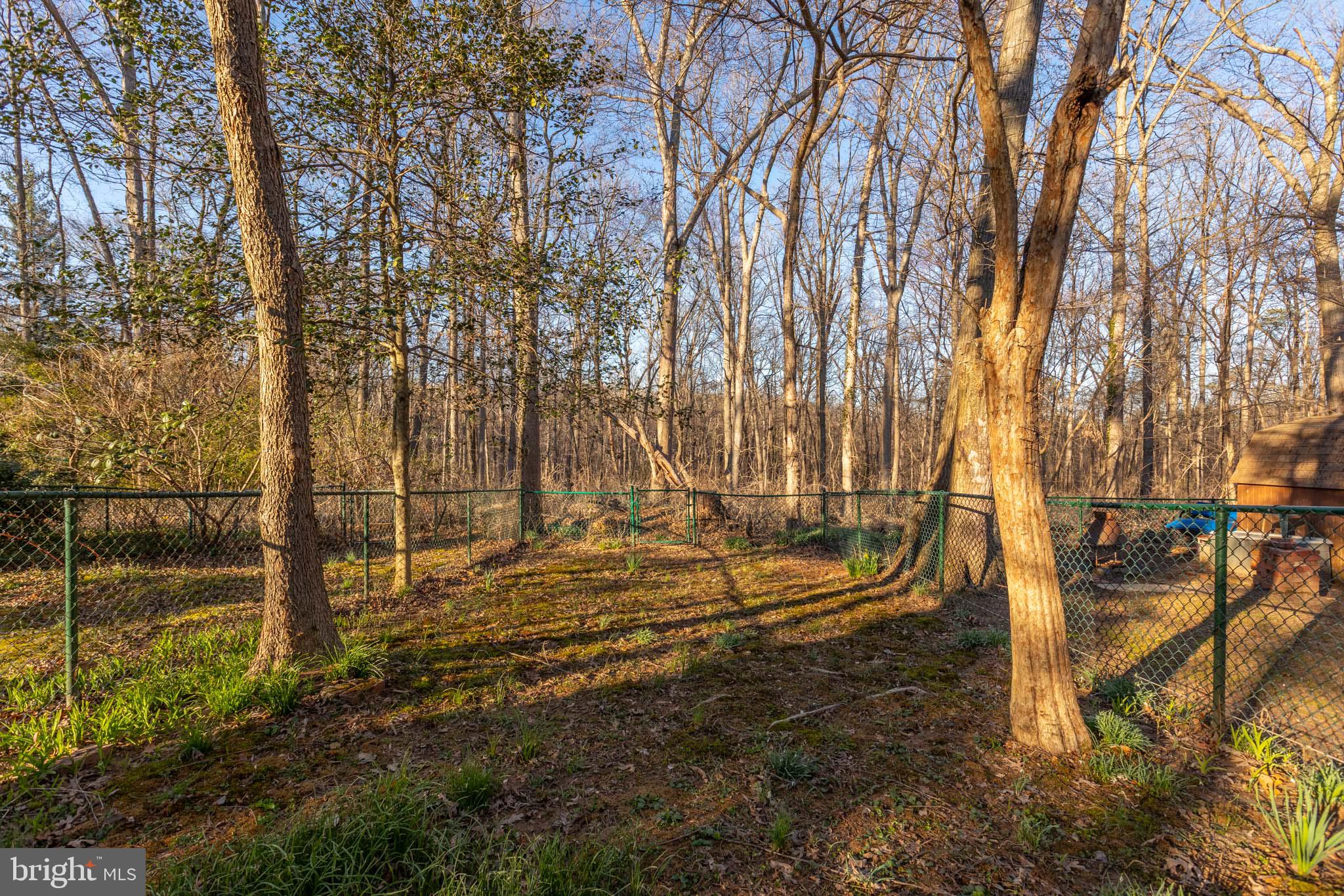 46 Ridge Road Greenbelt, MD 20770 - Photo 16 of 20 Gallery Image 16
