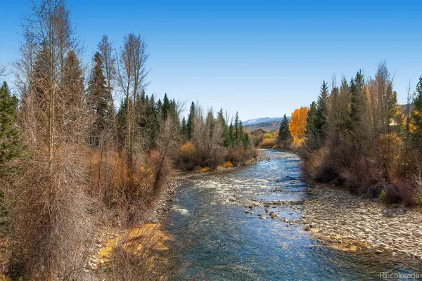 a view of a dry yard with trees in the background