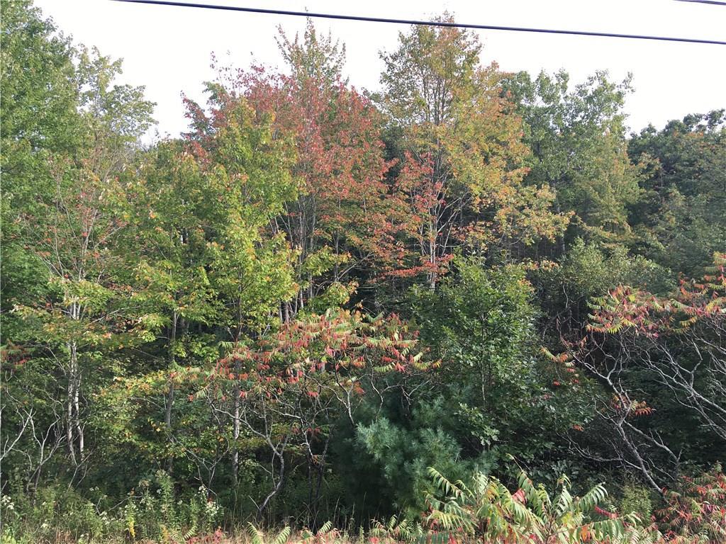 0 Mills Road Kennebunkport, ME 04046 - Photo 1 of 4 Wood lot view from Mills Road - can...