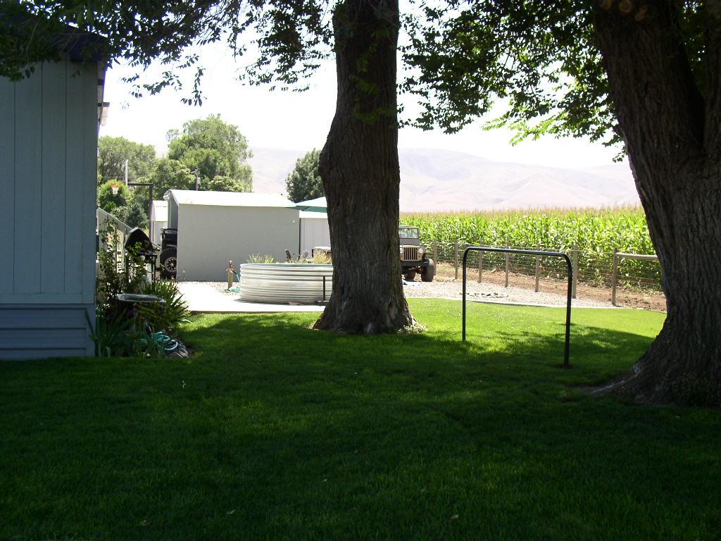 8190 Campbell Road Toppenish, WA 98948 - Photo 13 of 18 a view of backyard with green space