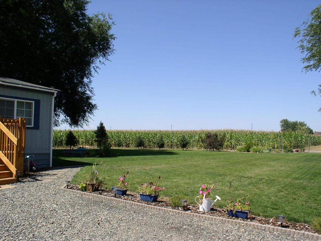 8190 Campbell Road Toppenish, WA 98948 - Photo 16 of 18 a view of a golf course with a garden