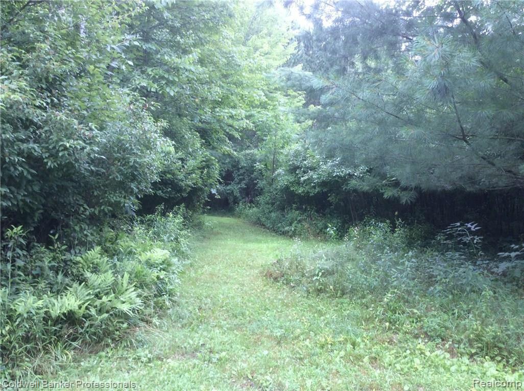4584 5 Lakes Road North Branch, MI 48461 - Photo 36 of 48 IMG_2044.JPG