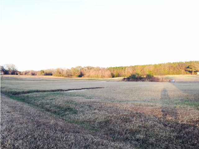 12640 Lebanon Pinegrove Road Terry, MS 39170 - Photo 6 of 6 Photo 6