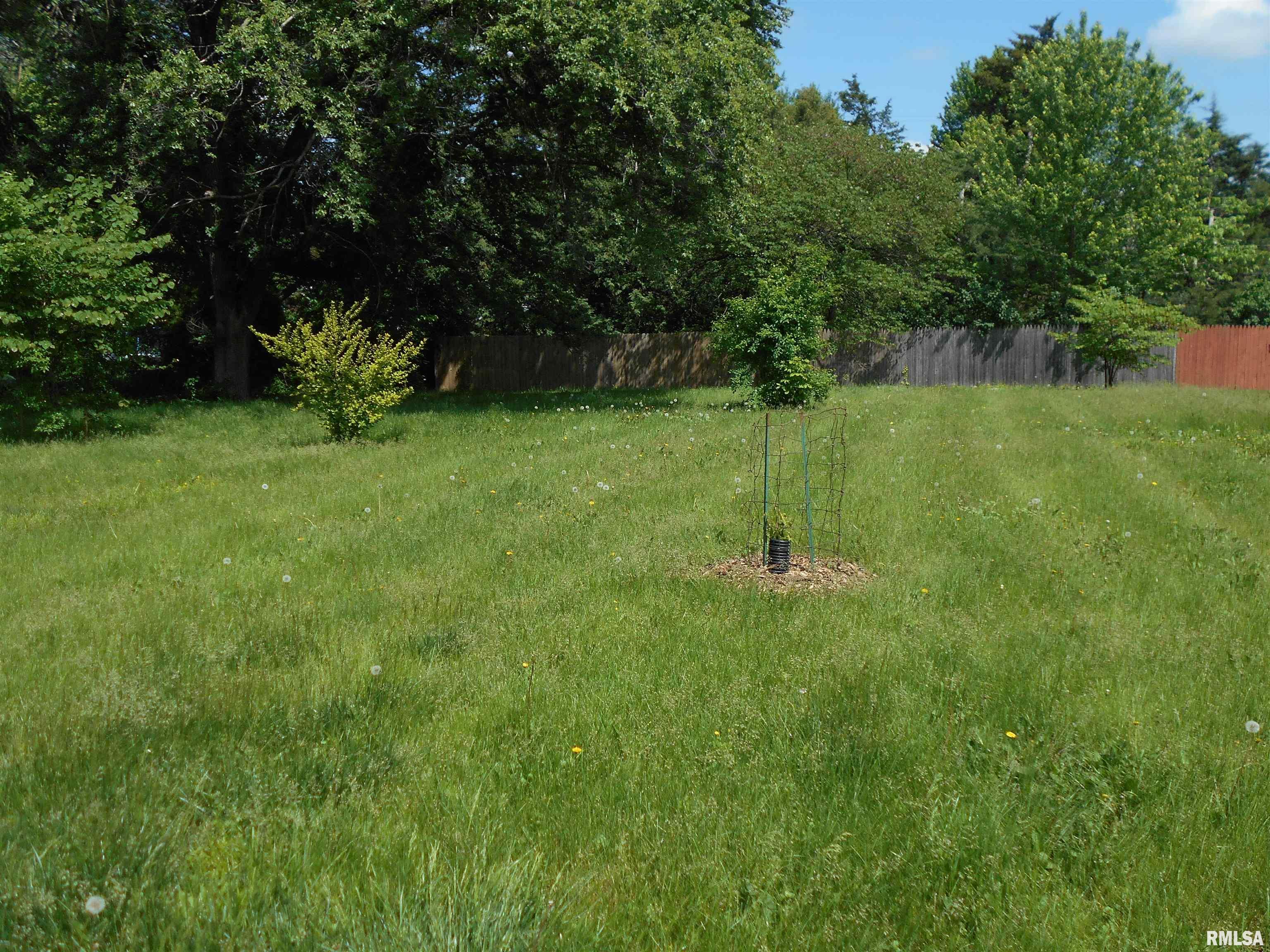 457 South Madison Street Macomb, IL 61455 - Photo 2 of 2