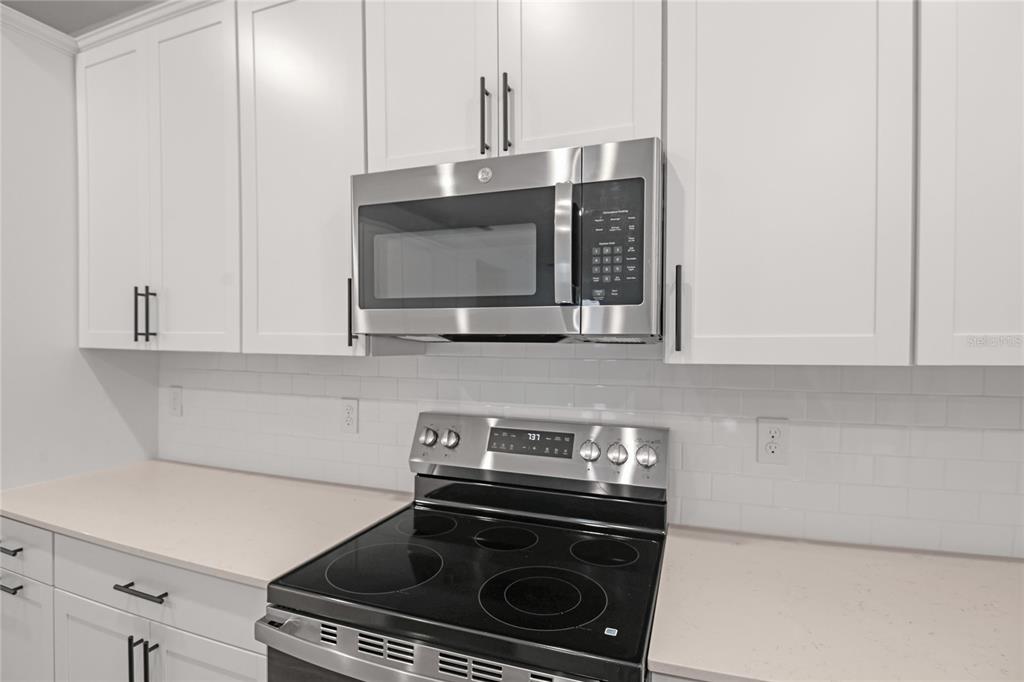 1042 Cloud Rdg Court Mount Dora, FL 32757 - Photo 12 of 21