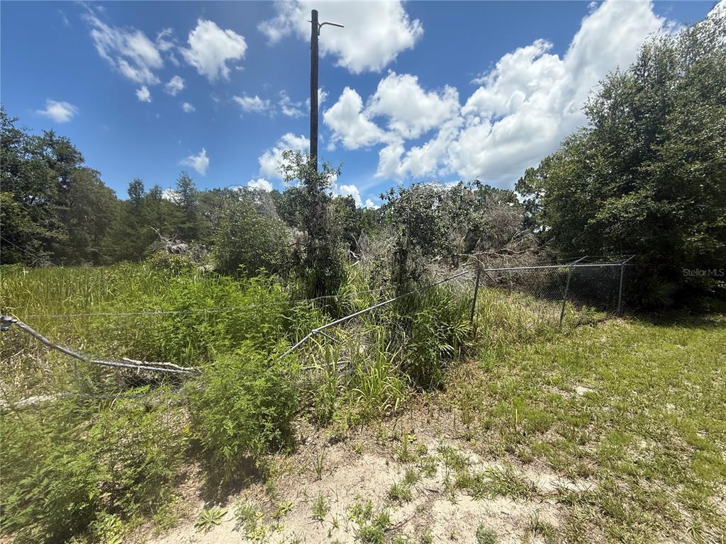 0 Goolsby Street Webster, FL 33597 - Photo 12 of 13 a view of a lake with a yard