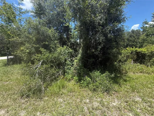 a view of outdoor space and trees