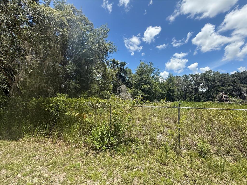 0 Goolsby Street Webster, FL 33597 - Photo 10 of 13