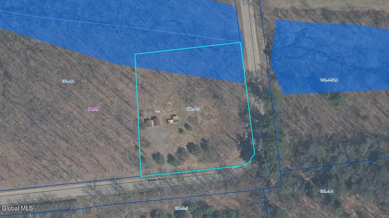 220 Nadler Road Perth, NY 12010 - Photo 2 of 2 map with wetland