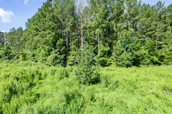 $85,000 | 1336 Wood Sorrel Drive, Summerville, SC 29486