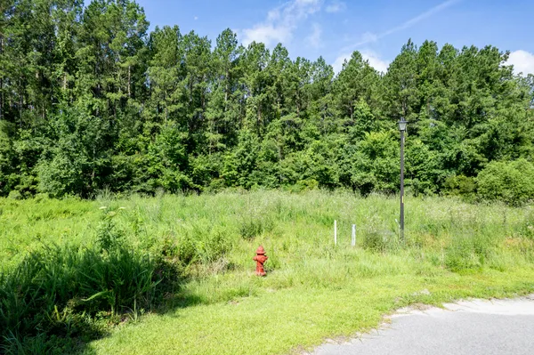 $85,000 | 1336 Wood Sorrel Drive, Summerville, SC 29486