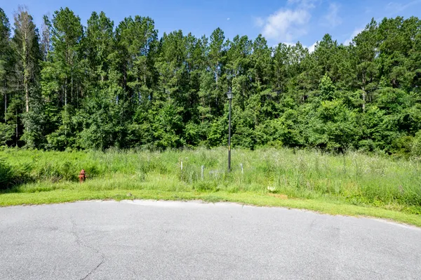 $85,000 | 1336 Wood Sorrel Drive, Summerville, SC 29486
